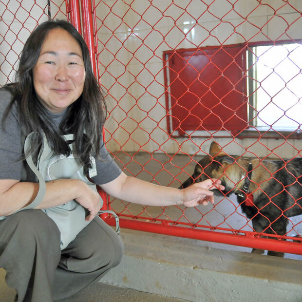Foto: Divulgação/Agência Brasília