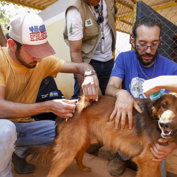 Foto: Jhonatan Cantarelle/Agência Saúde DF