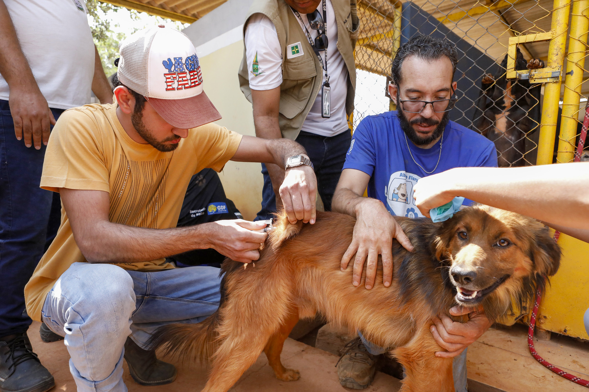 Foto: Jhonatan Cantarelle/Agência Saúde DF