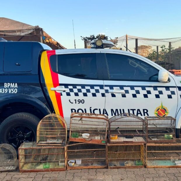 imagem do whatsapp de 2025 08 22 à(s) 22.14.28 9657ecb4