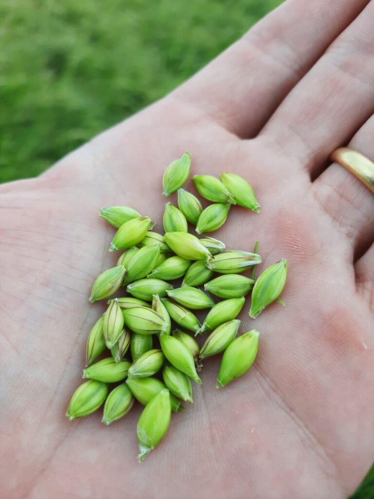 imagem do whatsapp de 2025 08 25 à(s) 10.07.46 5d7903ea