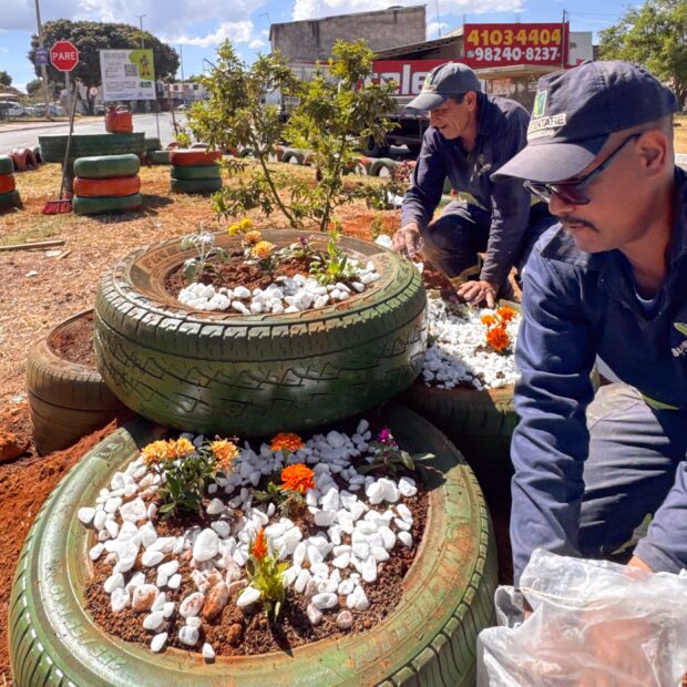 plantaçao