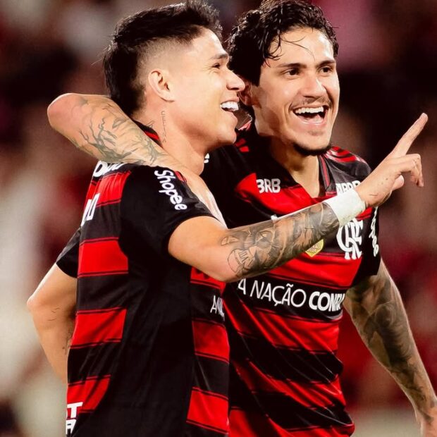 saveclip.app 538075720 1340327734117412 4095099815148022350 n