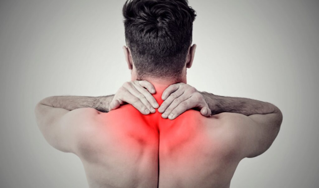 imagem do whatsapp de 2025 08 26 à(s) 16.01.19 5bcde8bf