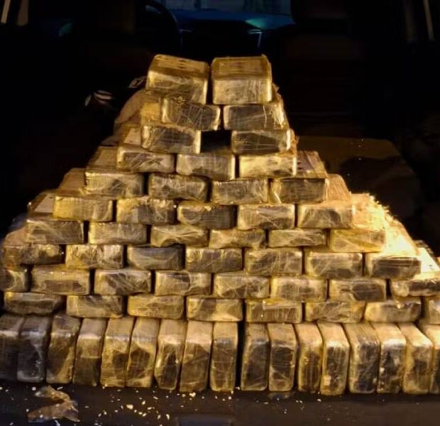 juiz soltou homem 200 kg de cocaína