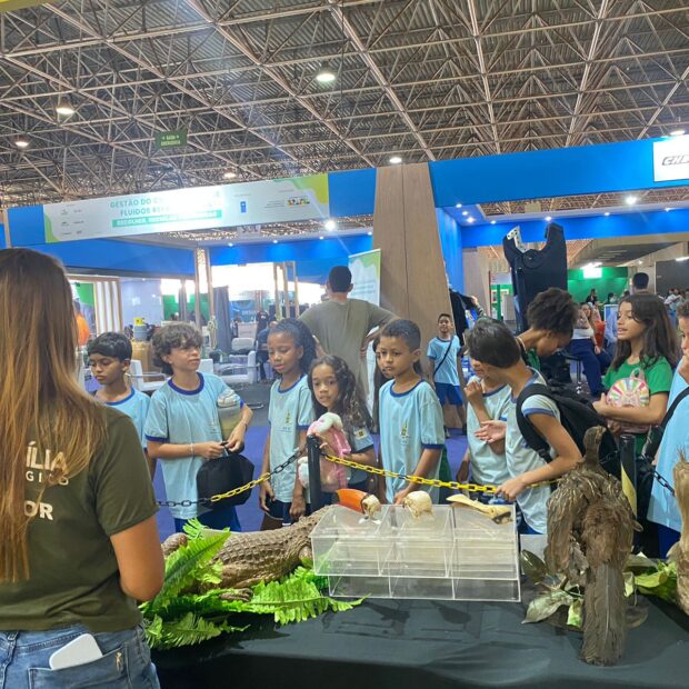 Foto: Divulgação/Sema-DF