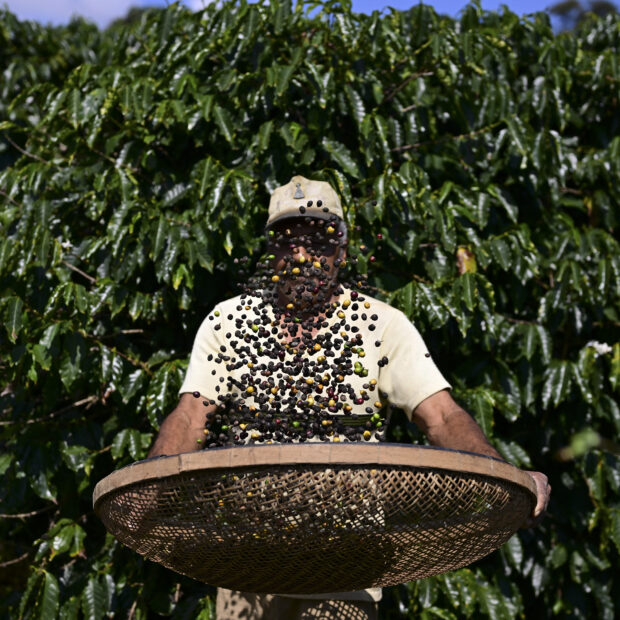 files brazil us economy trade tariffs coffee