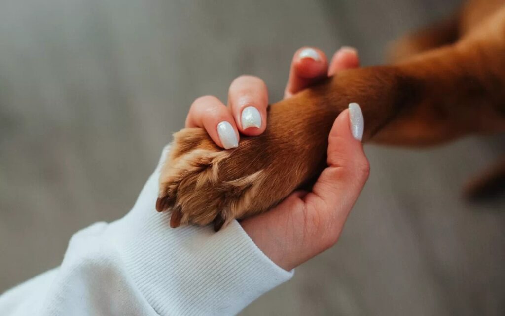 imagem do whatsapp de 2025 08 28 à(s) 13.43.53 b7c04569