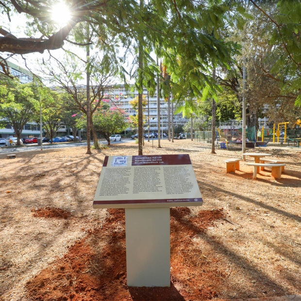 Foto: Joel Rodrigues/Agência Brasília