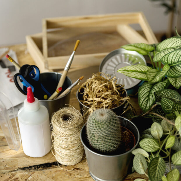 close up de stationeries com planta