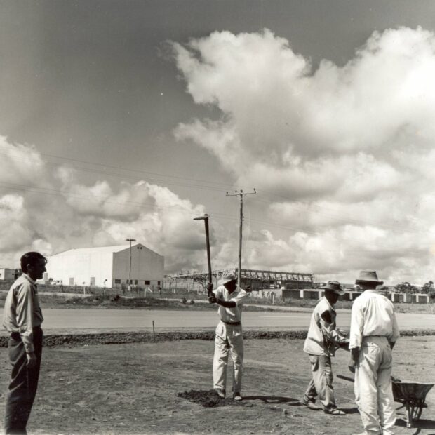 whatsapp image 2025 08 29 at 13.16.07