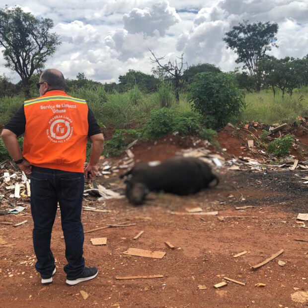 foto divulgacao slu (1)