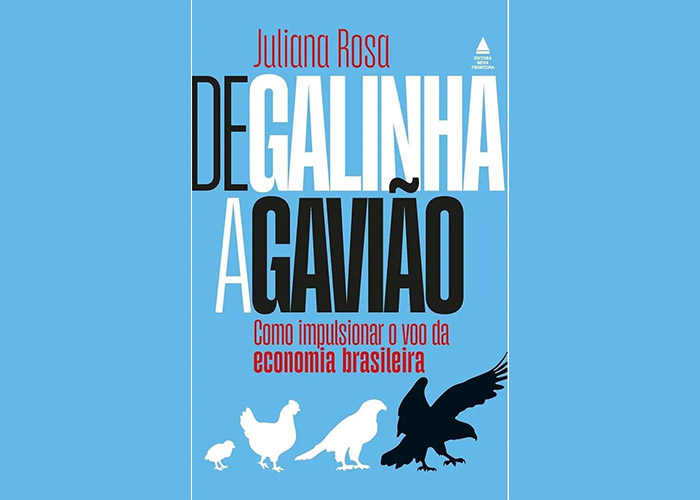 de galinha a gaviao