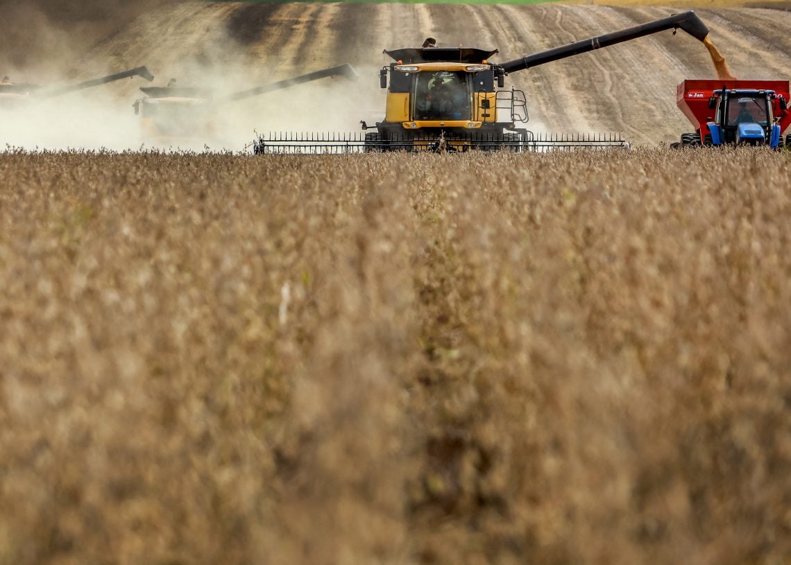 Foto: Silvio Avila/AFP