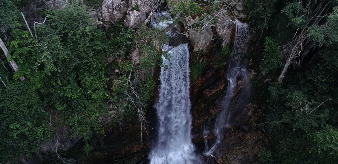 Foto: Divulgação/Brasília Ambiental