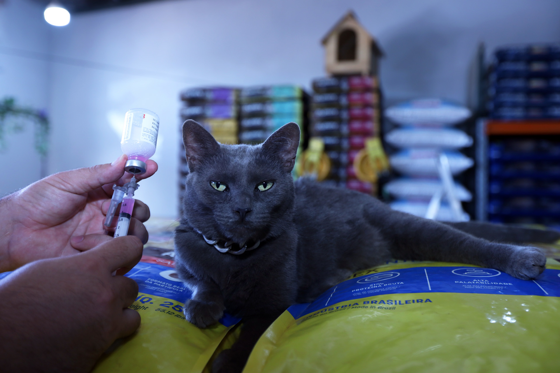 Foto: Sandro Araújo/Agência Saúde