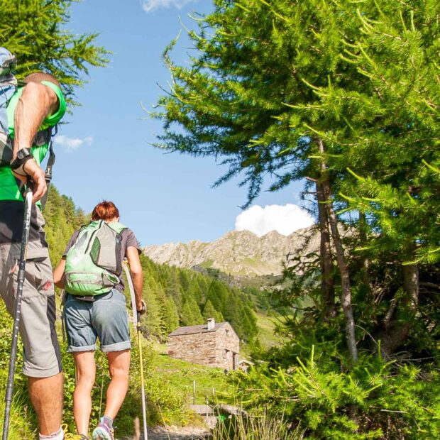 design sem nome (39)