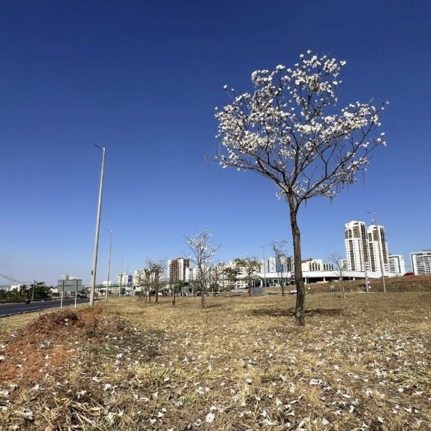 Foto: Novacap/Divulgação