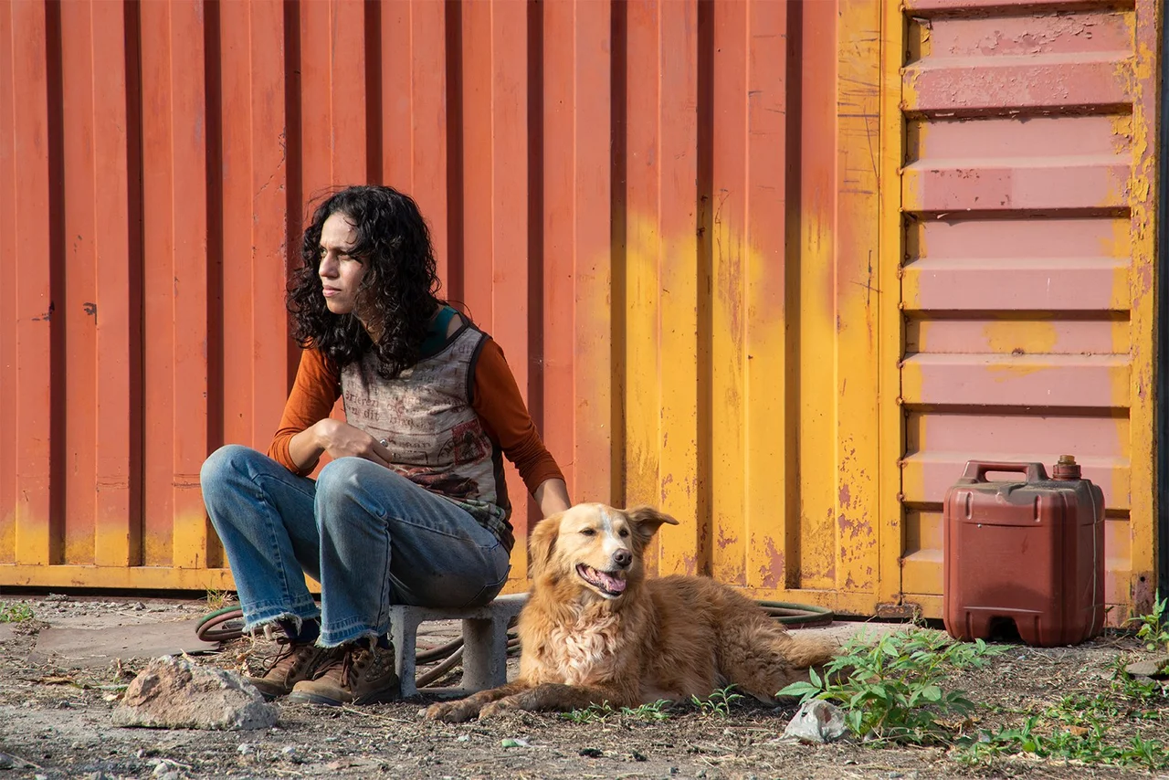 5406730 739af5cc03c84a9