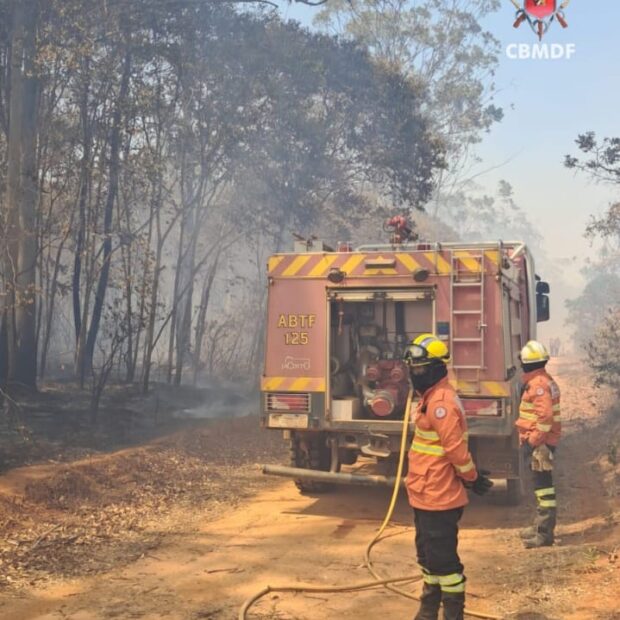 Foto: Divulgação/CBMDF