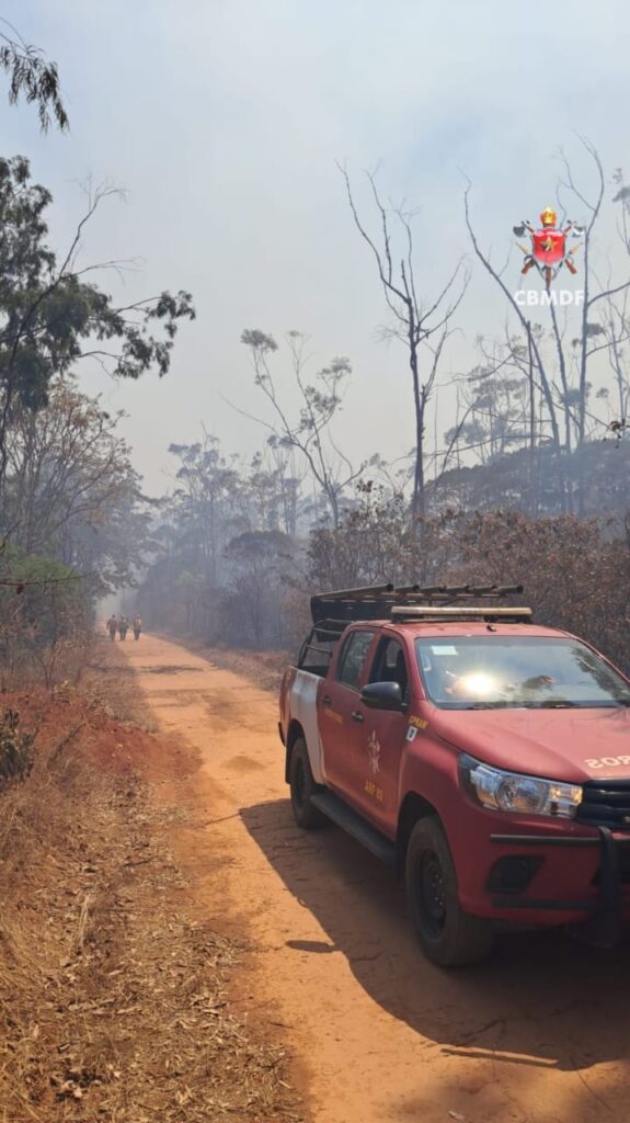 Foto: Divulgação/CBMDF
