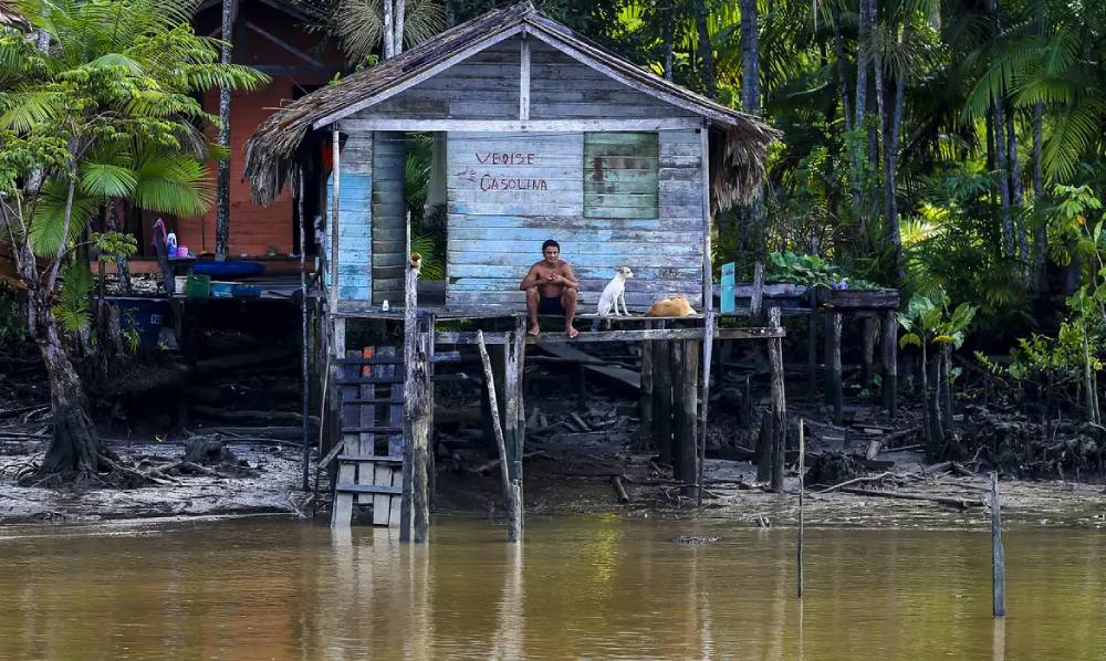 amazônia casa