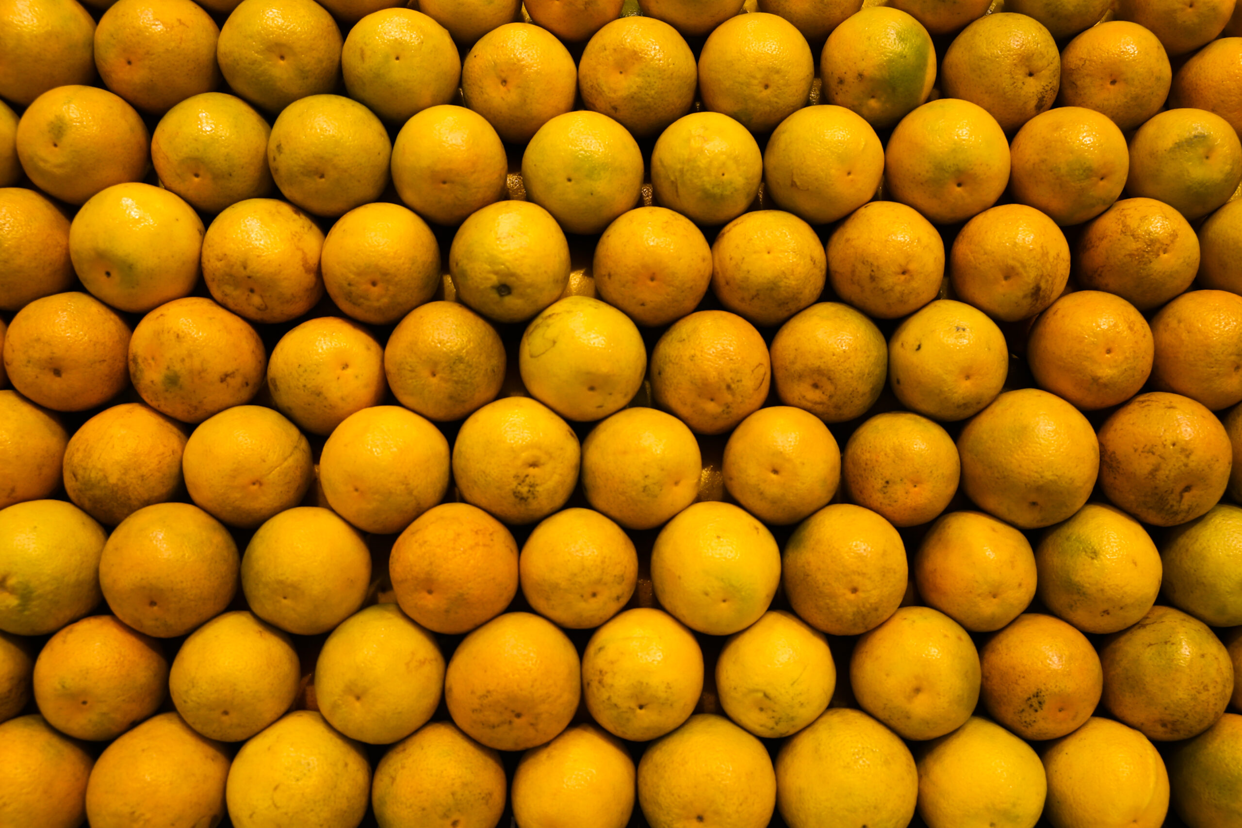 Foto: Valter Campanato/Agência Brasil