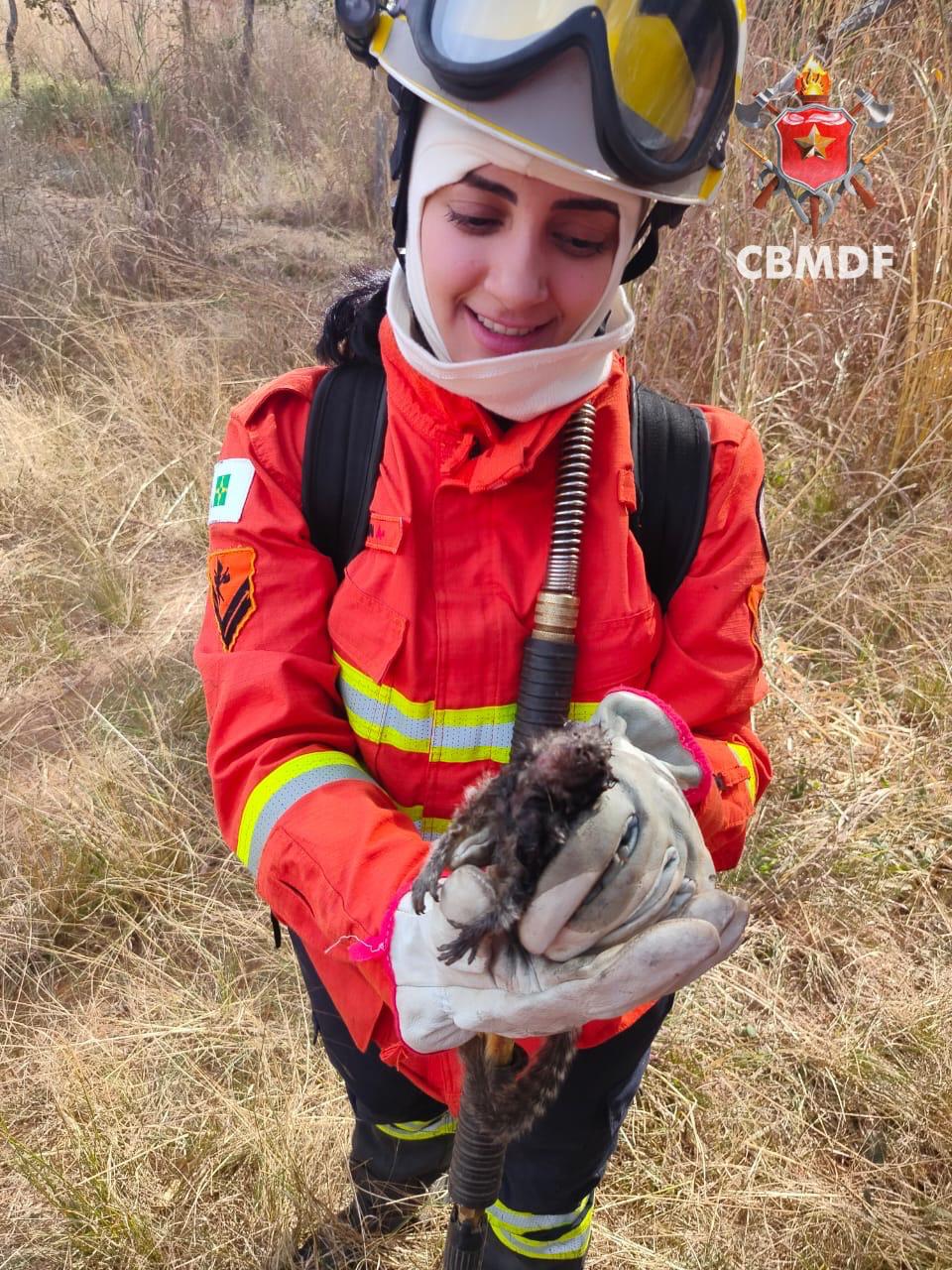 photo 2025 09 16 09 22 26