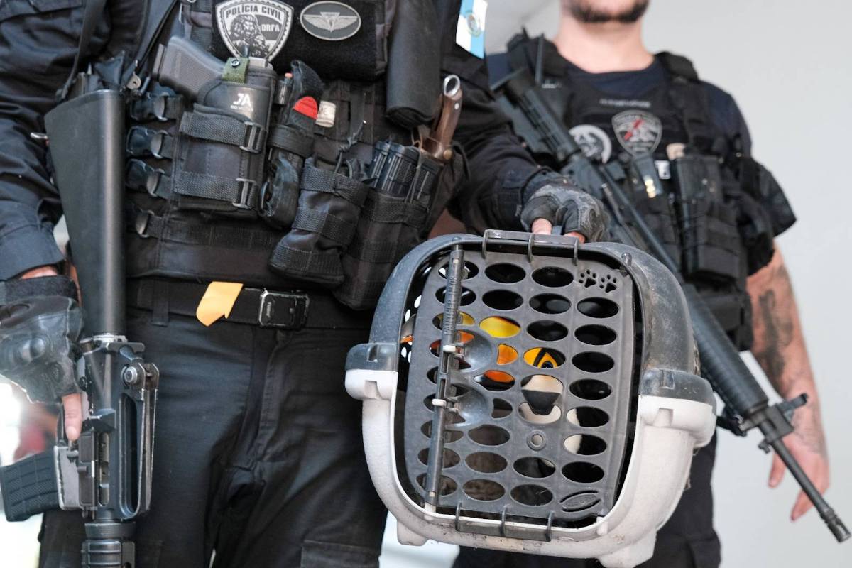 operação da polícia do rj resgata 800 animais silvestres e prende 47 pessoas