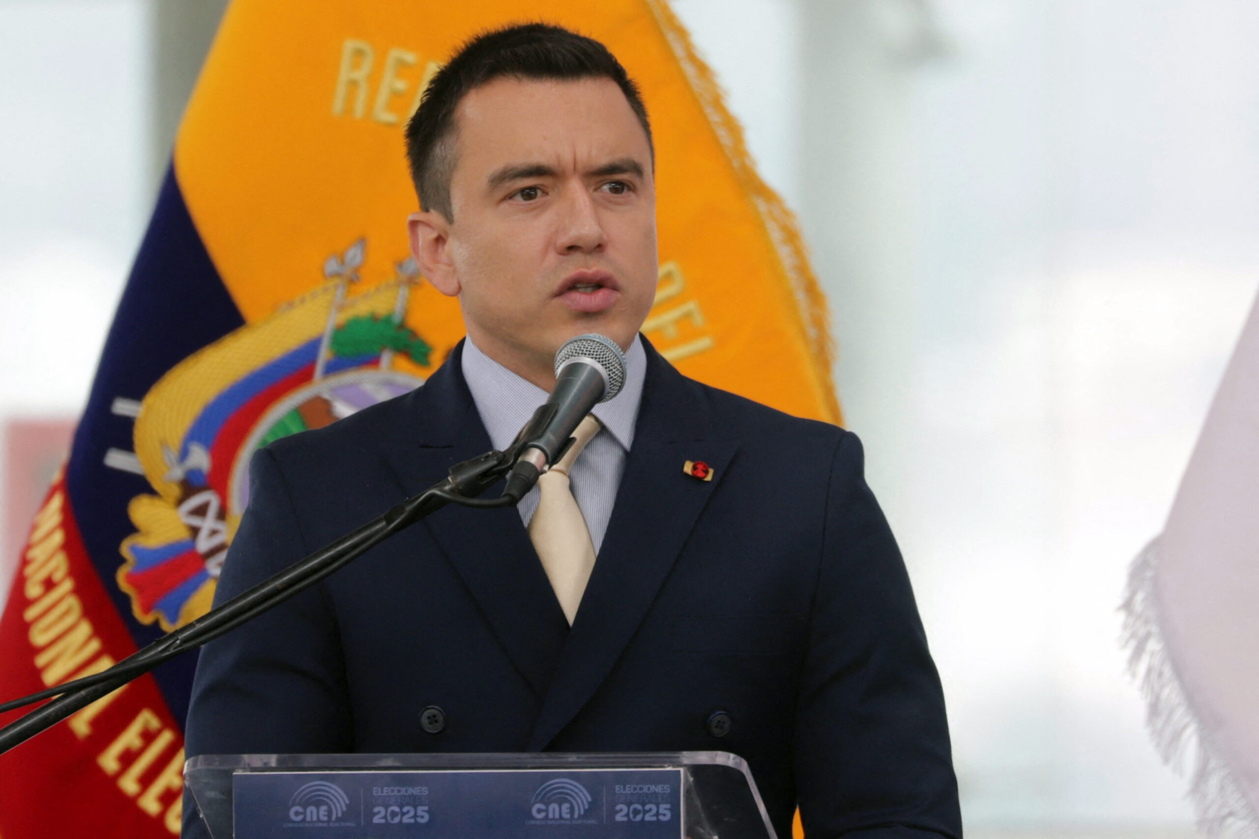 files ecuador politics government constitution