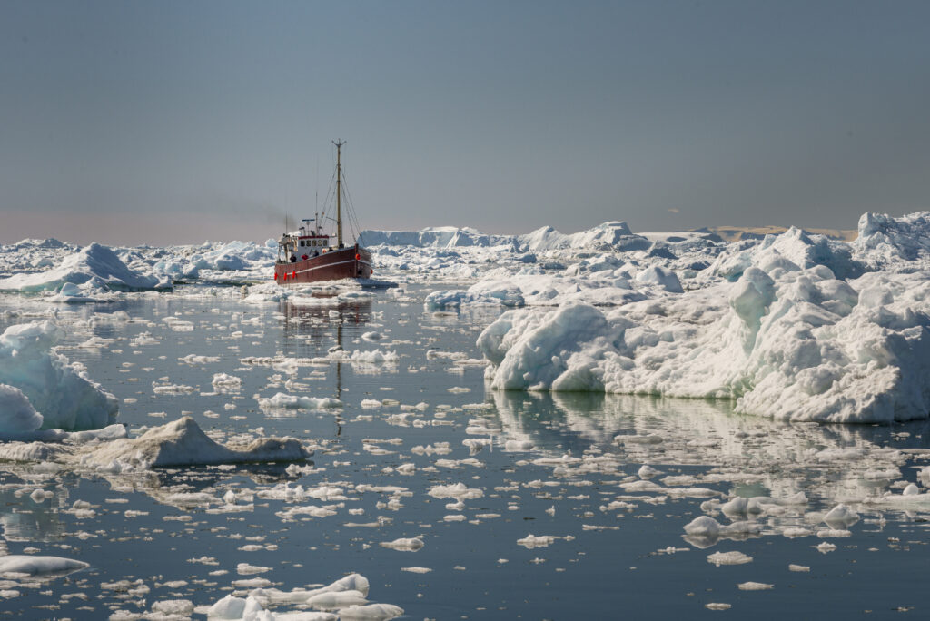 beautiful view of tourist boat sailing through icebergs in disko bay, greenland