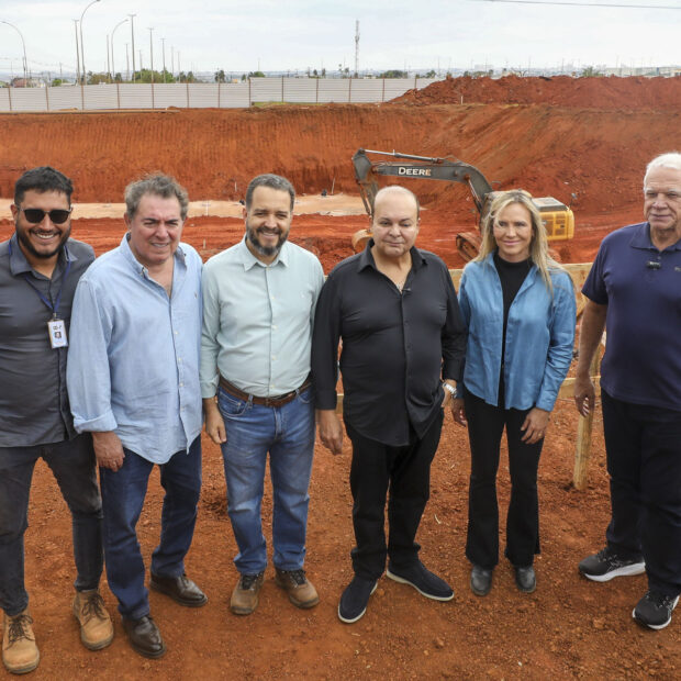 ibaneis celina obras