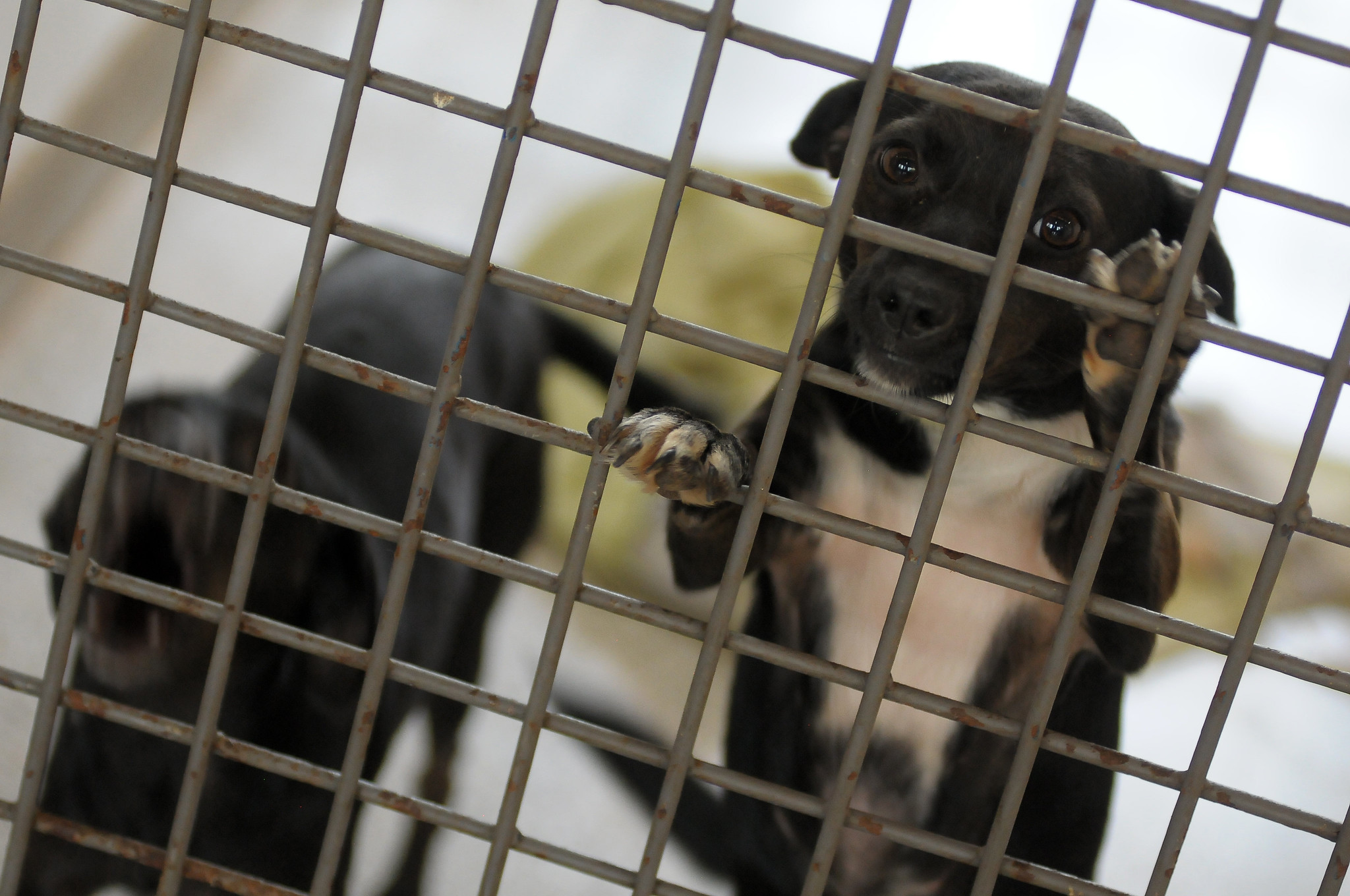 Foto: Matheus Oliveira/Agência Saúde DF