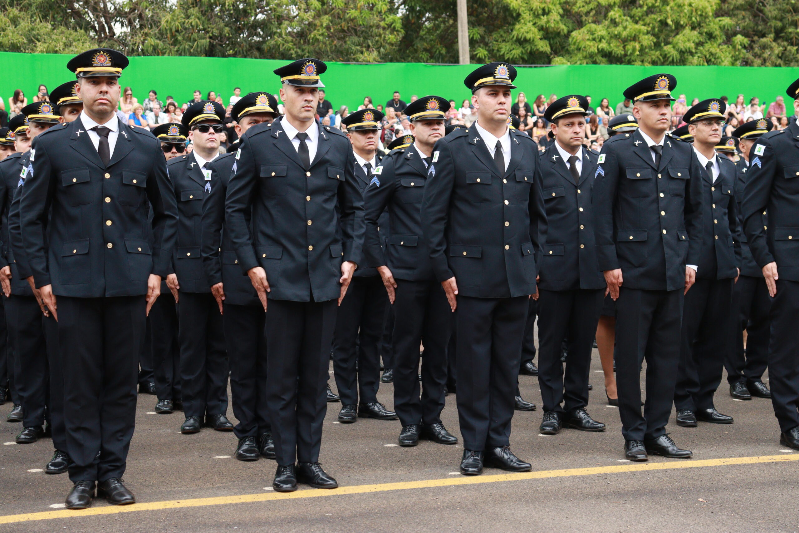 Foto: Divulgação/PMDF