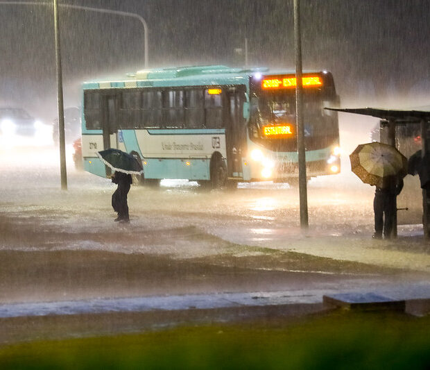 Foto: Joel Rodrigues/Agência Brasília.