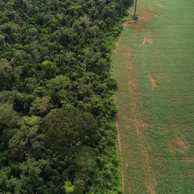 financiamento climático