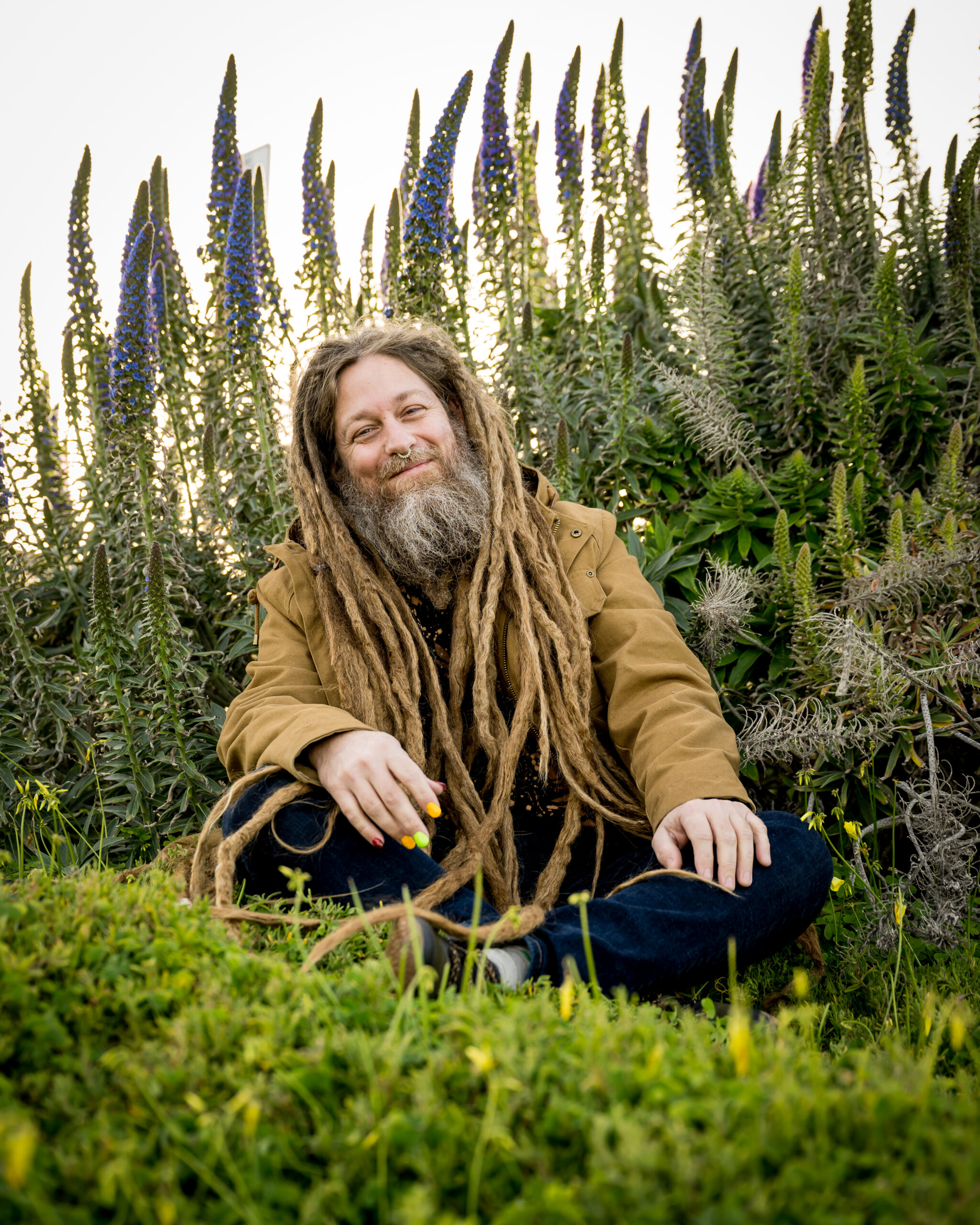 mike love voa sunset agencia um nome (2)