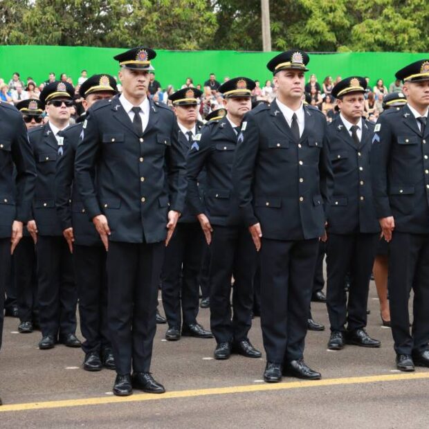 pmdf curso (1)