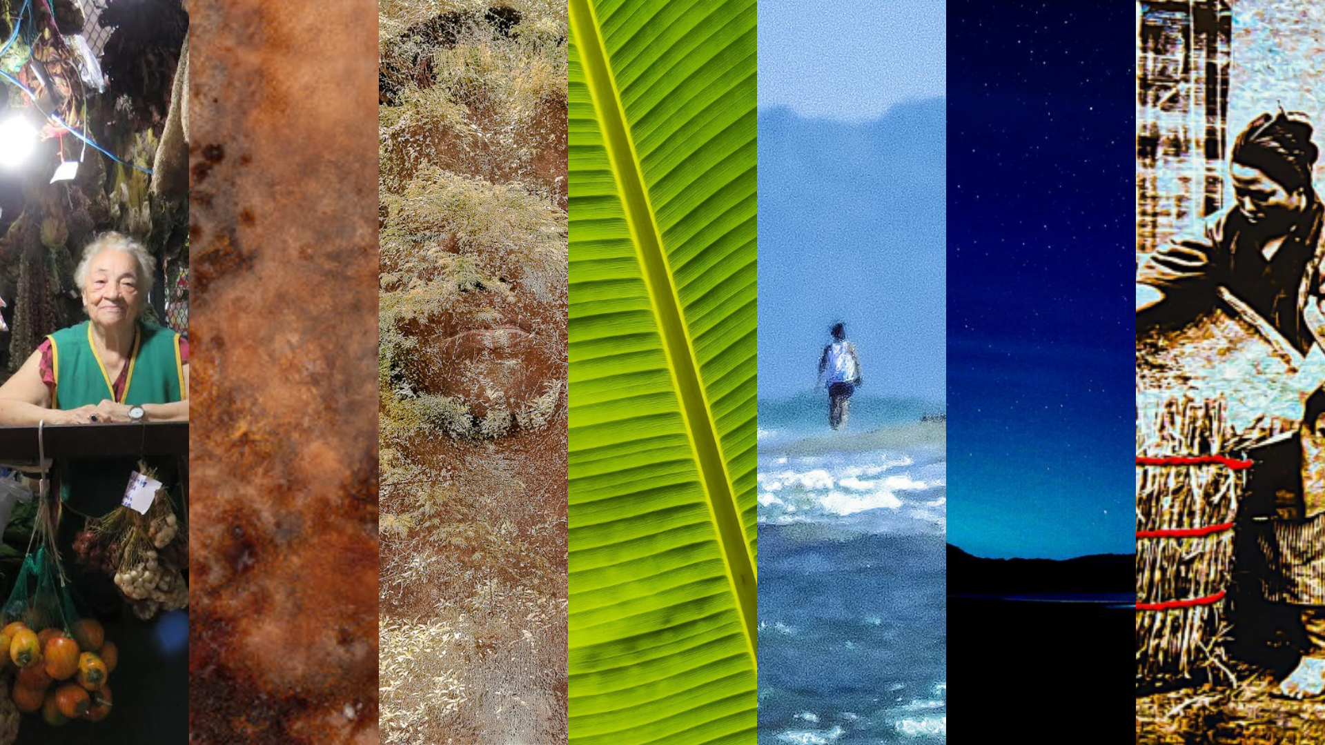 agosto coletiva mentoria projeto (2)