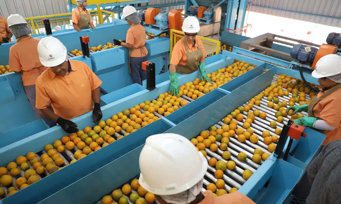 Foto: Ari Dias/Governo do Paraná