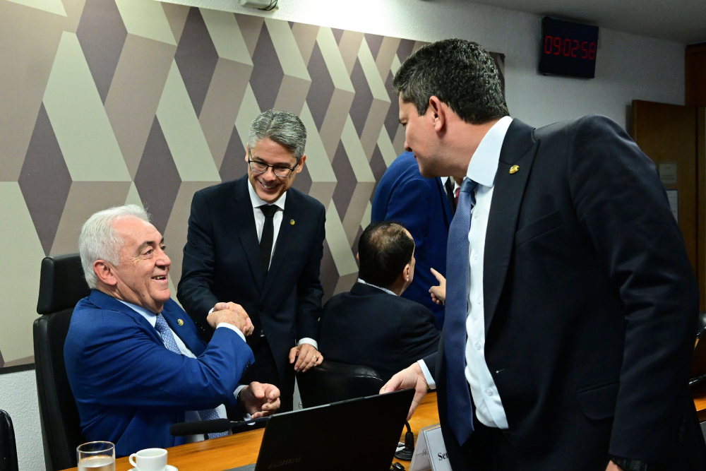 comissão de constituição, justiça e cidadania (ccj)