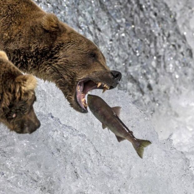 Foto: JOHN MOORE / GETTY IMAGES NORTH AMERICA / AFP