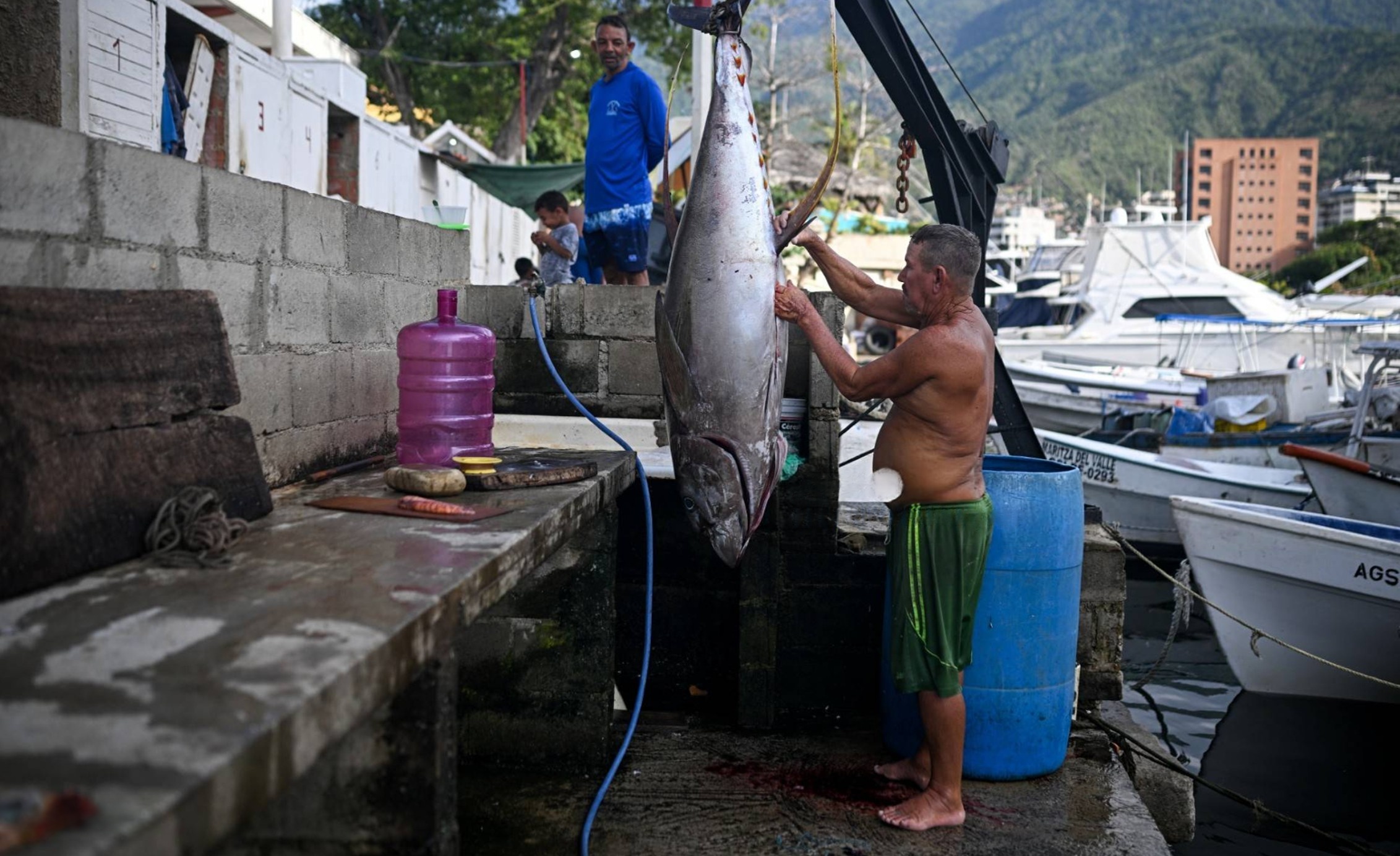 Foto: FEDERICO PARRA / AFP