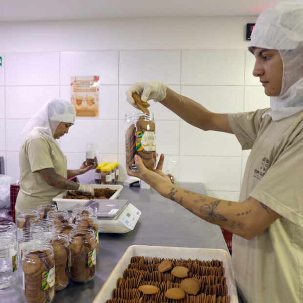 ponte para o mercado, agências do trabalhador empregaram cerca de 30 mil pessoas desde 2019