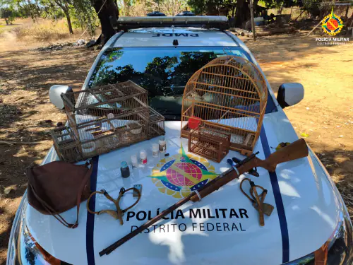 Foto: Divulgação/PMDF