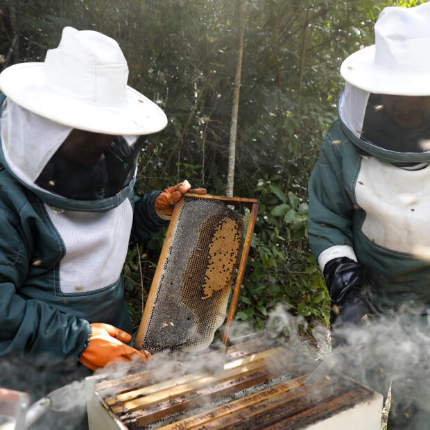 Foto: Lúcio Bernardo Jr./ Agência Brasília