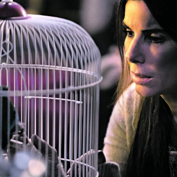 A emissora alagoana, que já não tem mais contrato com a Globo, teria colocado no ar o filme estrelado por Sandra Bullock sem autorização.