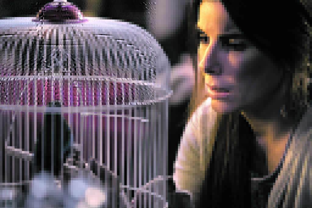 A emissora alagoana, que já não tem mais contrato com a Globo, teria colocado no ar o filme estrelado por Sandra Bullock sem autorização.