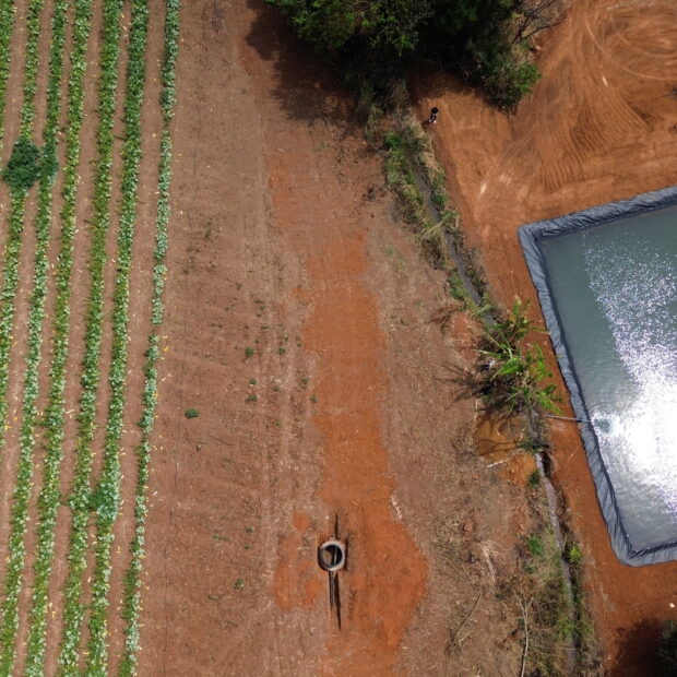 Foto: Divulgação/Seagri