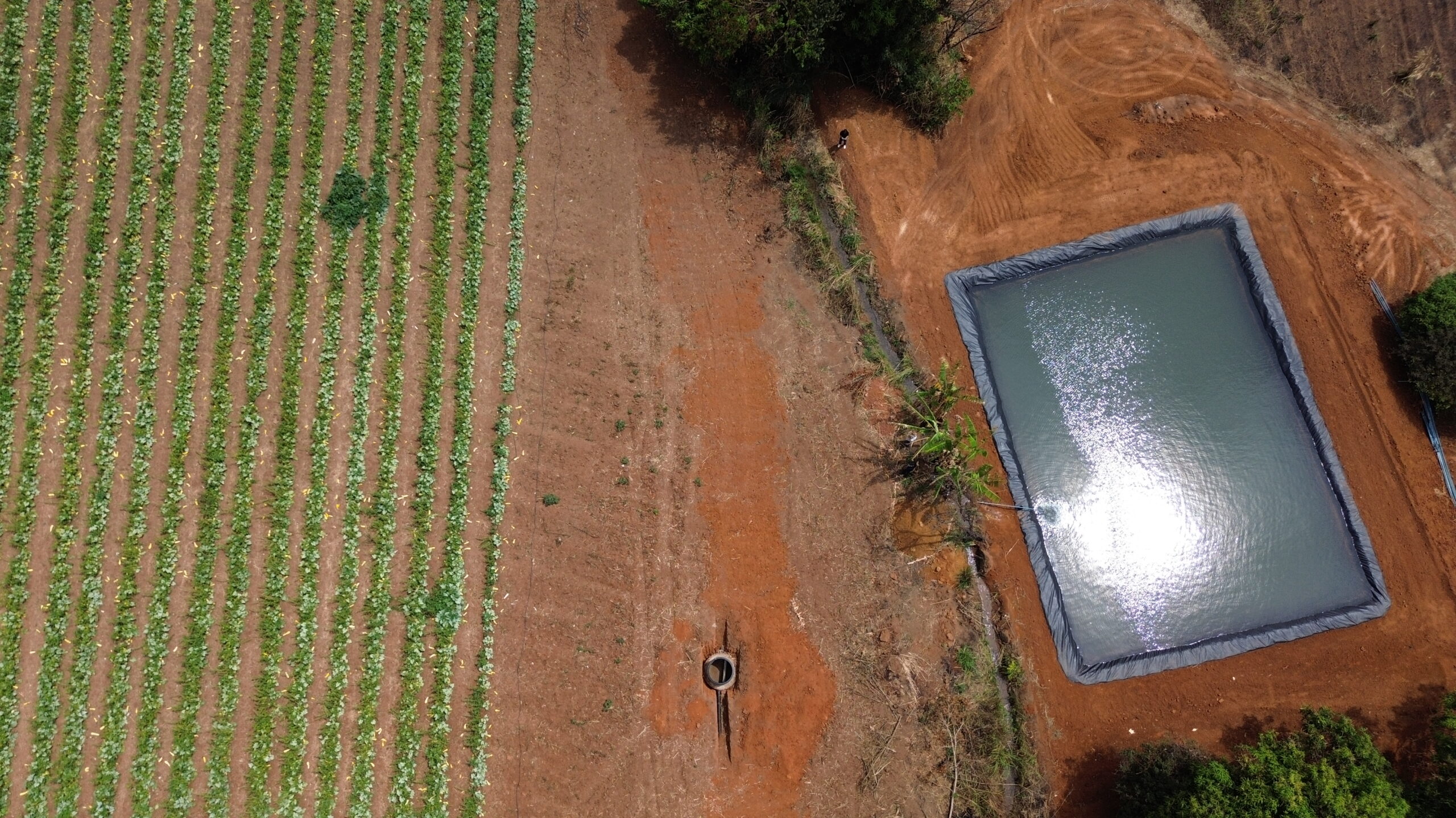 Foto: Divulgação/Seagri